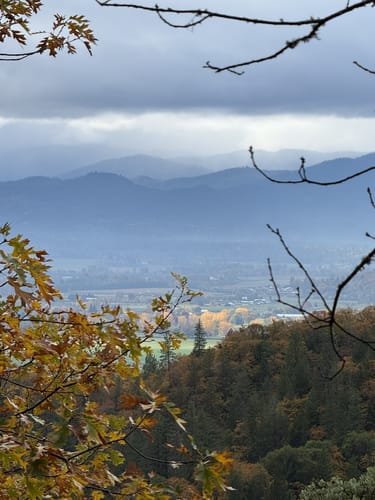 Dollar Mountain